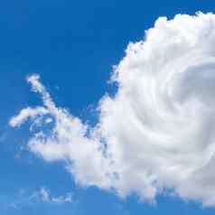 云形状的蜗牛