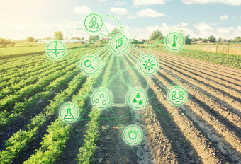 未来主义的创新技术pictogram一半种植场部分准备好了播种转换农业土地土地培养欧洲有机农业