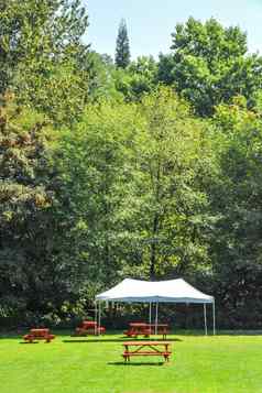 休息区域红色的野餐表白色帐篷绿色草坪上公园