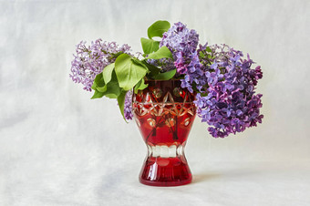 红色的花瓶淡紫色花灰色的背景