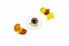 秋天叶子杯咖啡飞碟白色引入