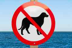 狗标志海海滩宠物允许标志swimm值蓝色的海