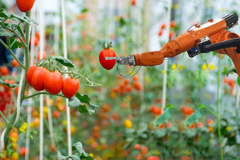 聪明的机器人农民农业未来主义的机器人自动化