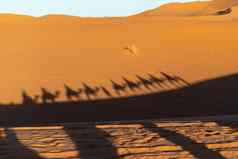 阴影骆驼骑手晚些时候下午撒哈拉沙漠的沙漠摩洛哥