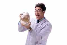 有趣的疯狂的教授古生物学家研究动物骨架