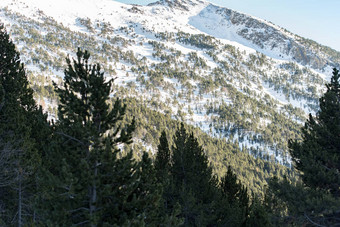 景观难以置信的阳光明媚的一天冬天庇里牛斯山