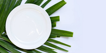 空白色陶瓷板热带棕榈叶子白色引入