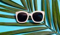 太阳镜热带棕榈叶子蓝色的背景
