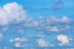 鸟飞清晰的蓝色的天空堆白色云海洋
