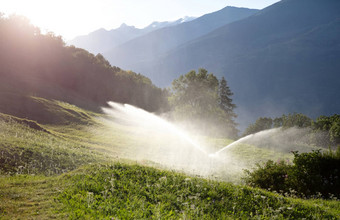 喷水灭火系统浇水草坪上瑞士