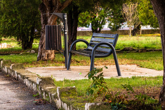 孤立的空板凳上公园阳光明媚的一天