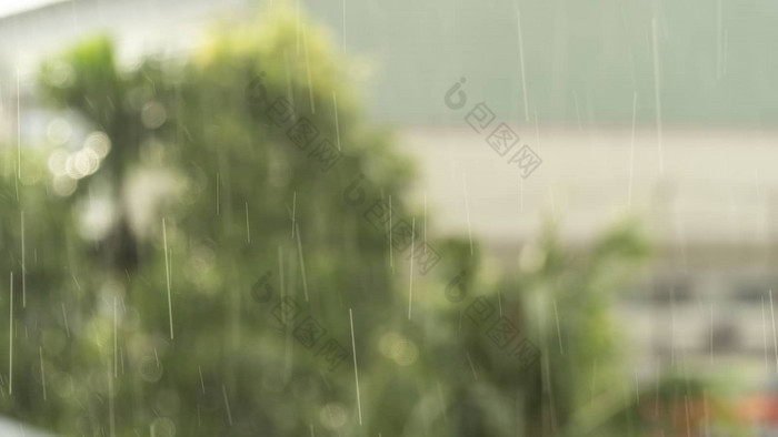 模糊照片光雨小雨树背景