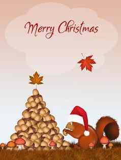 明信片圣诞节圣诞节松鼠使树橡子