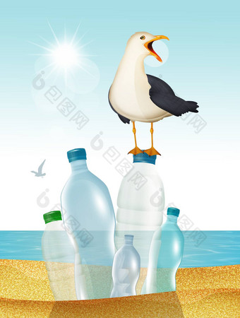 海鸥海滩塑料浪费