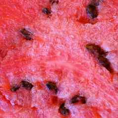 纹理红色的多汁的西瓜水果背景关闭