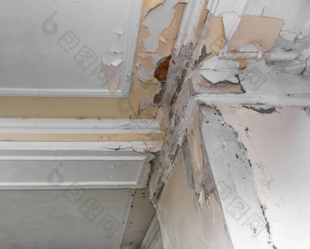 天花板墙损害湿度