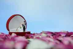 微型摄影户外婚姻婚礼概念新娘新郎站打开环盒子红色的白色玫瑰花桩