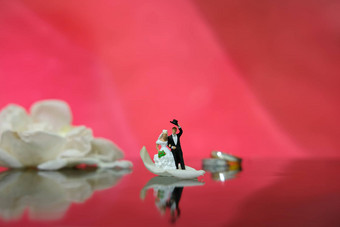 微型摄影花园花户外婚礼概念新娘新郎走闪亮的地板上白色玫瑰花瓣