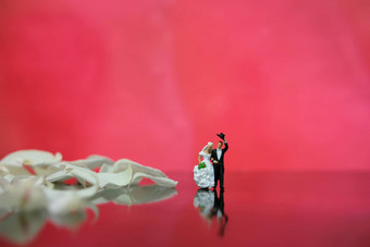 微型摄影花园花户外婚礼概念新娘新郎走闪亮的地板上白色玫瑰花瓣