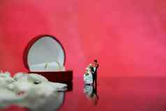 微型摄影花园花户外婚礼概念新娘新郎走闪亮的地板上白色玫瑰花瓣包括红色的心形状环盒子