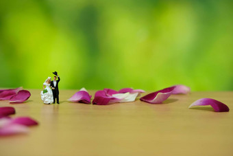 微型摄影户外花园婚礼仪式概念新娘新郎走红色的白色玫瑰花桩