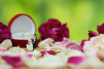 微型摄影户外花园婚<strong>礼仪</strong>式概念新娘新郎走红色的白色玫瑰花桩