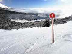 红色的滑雪路线标志新鲜的雪雪覆盖森林
