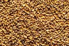 棕色（的）小麦谷物背景纹理健康的食物素食主义者