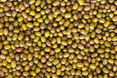 绿色绿豆豆背景纹理无谷蛋白健康的食物素食主义者营养