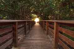 木板路领先的德尔诺•威金斯状态公园日落