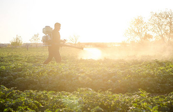 农民雾喷雾器早....种植园保护护理工业化学物质保护作物昆虫农业农业综合企业收获处理