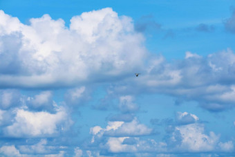 鸟飞清晰的蓝色的天空巨大的白色云海