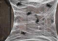 白色蜘蛛网络黑色的蜘蛛木背景