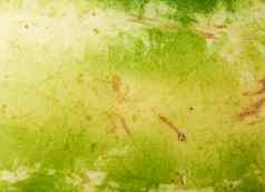 绿色条纹西瓜纹理完整的框架