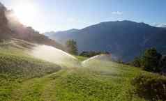 喷水灭火系统浇水草坪上瑞士