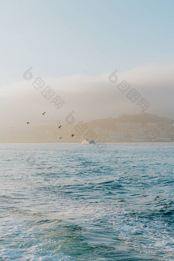 船导航海日出海鸥飞行