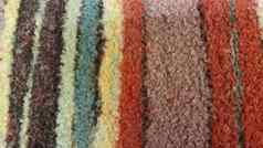 色彩斑斓的地毯地毯狗头发
