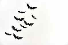 万圣节装饰概念黑色的纸蝙蝠白色纸板背景