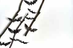 万圣节装饰概念黑色的纸蝙蝠干分支坚持白色纸板背景