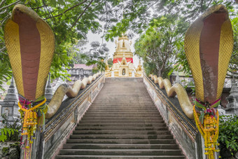 楼梯蛇什么尸罗恩古寺庙KOH寒泰国