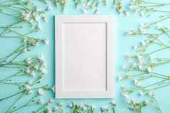 白色空照片框架模型鼠耳草属繁缕花