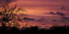 难以置信的美丽的云形成日落颜色树