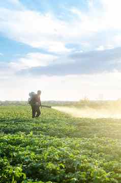 农民雾喷雾器鼓风机流程土豆种植园害虫真菌感染烟熏器雾化器化学物质农业农业农业综合企业收获处理