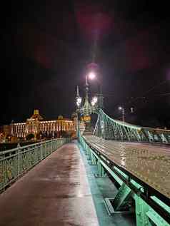 自由桥布达佩斯据传酒店晚上灯