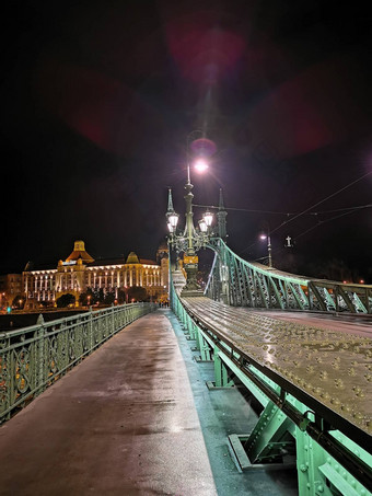 自由桥布达佩斯据传酒店晚上灯