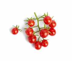 分支红色的成熟的樱桃番茄水果白色背景