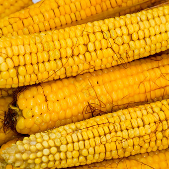 煮熟的玉米铝托盘玉米特写镜头玉米黄色的煮熟的年轻的玉米美味的食物