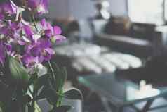 紫色的兰花花花束装修生活房间