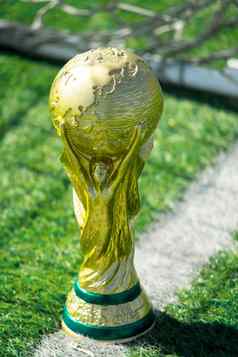 国际足联世界杯