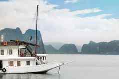 船美丽的向湾越南亚洲